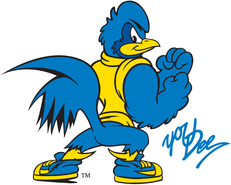 Delaware Blue Hens 1993-Pres Mascot Logo DIY iron on transfer (heat transfer)